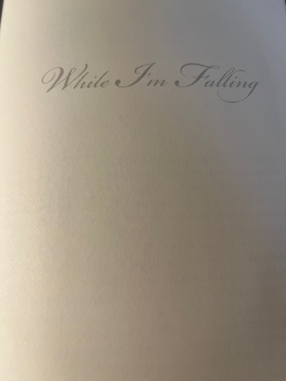 While I'm Falling by Laura Moriarty -A Compelling Contemporary Family Drama book - Picture 7 of 9